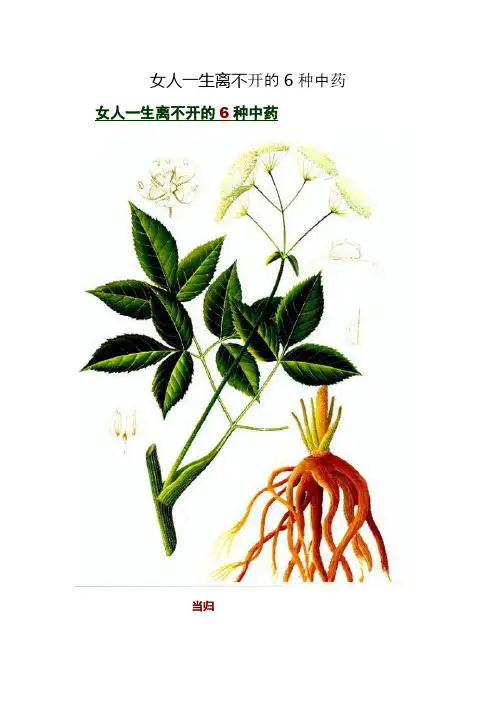 女人一生离不开的6种中药