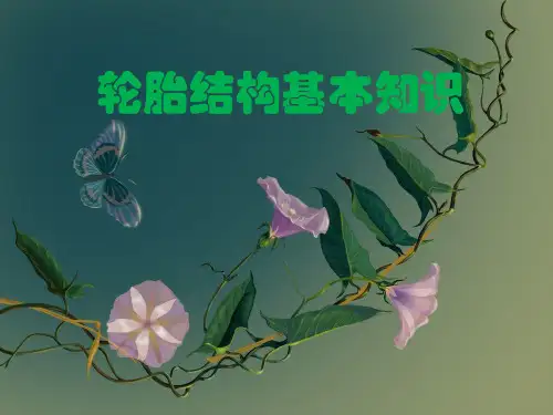 轮胎结构基本知识