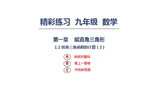 第一章 1.2 解直角三角形 锐角三角函数的计算(2)