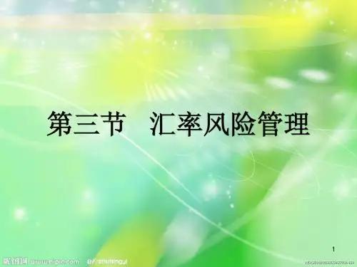 汇率风险管理
