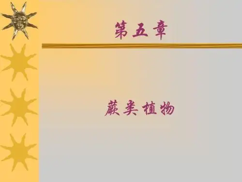 七年级生物藻类苔藓和蕨类植物4