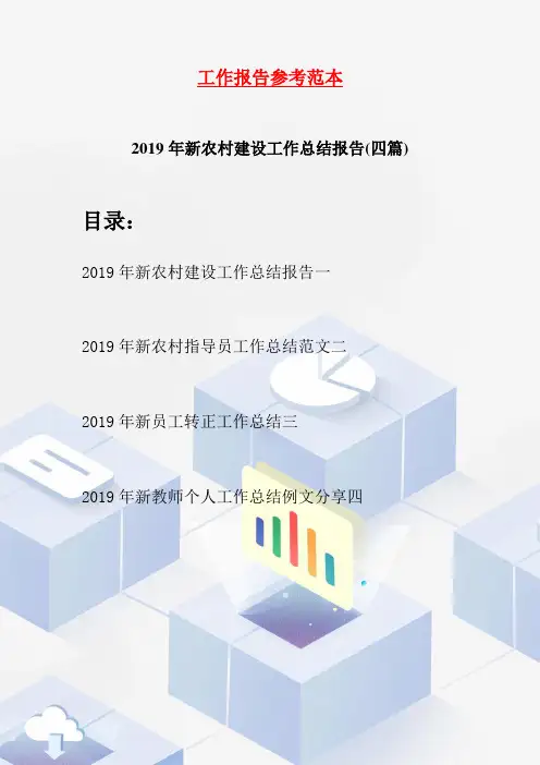 2019年新农村建设工作总结报告(四篇)