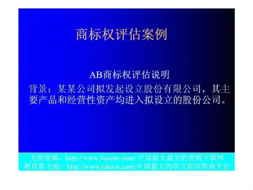 商标权评估案例