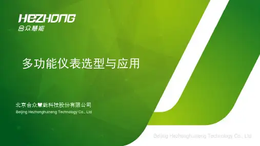 多功能仪表 产品选型与应用(含竞品分析)