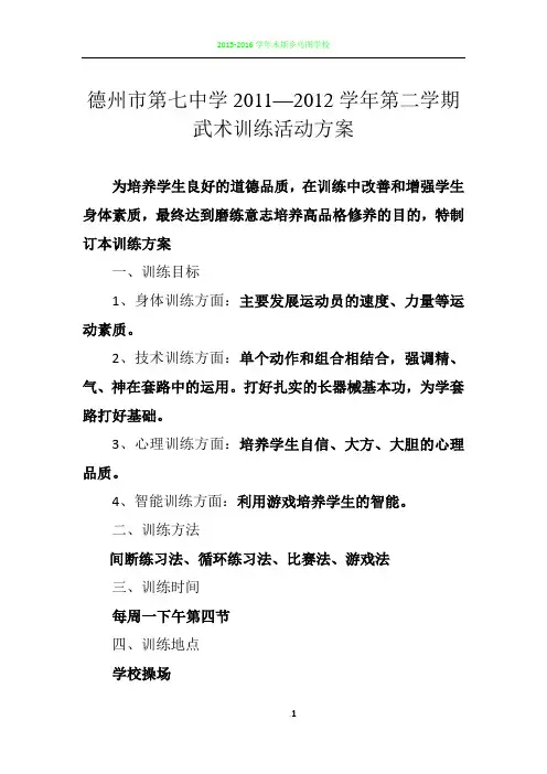 武术训练计划