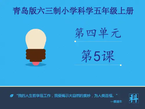《玻璃与塑料》课件讲解