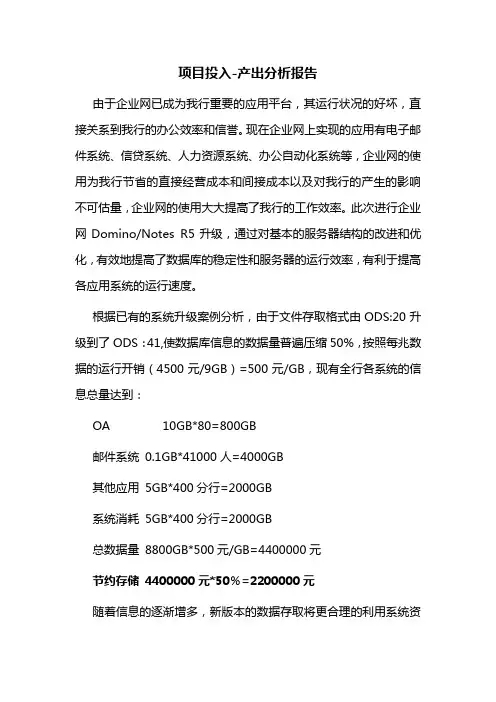 项目投入、产出分析报告