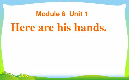 2021年外研版三年级英语下册Module6Unit1Herearehishands课件.ppt