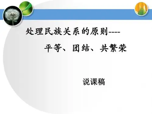 《处理民族关系的原则》说课比赛获奖课件.ppt