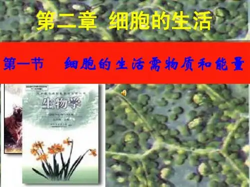 -细胞的生活需要物质和能量