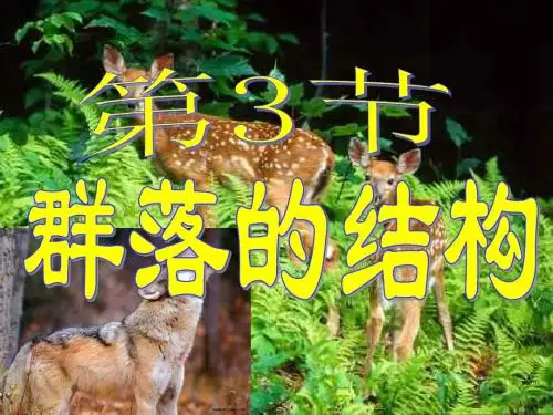 第三节群落的结构