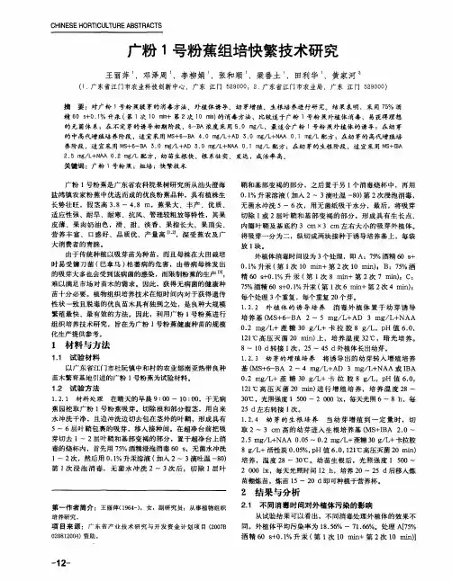 广粉1号粉蕉组培快繁技术研究