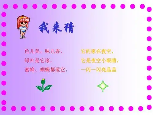 《鲜花和星星》PPT课件(方欣荣)