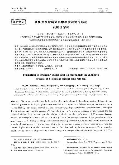 强化生物除磷体系中颗粒污泥的形成及机理探讨