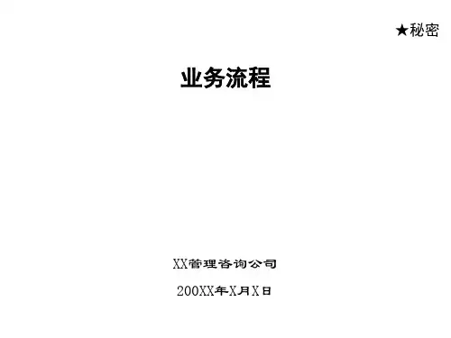 XX管理咨询公司为某公司做的-业务流程报告