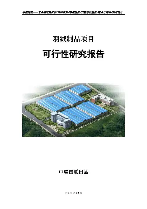 羽绒制品项目可行性研究报告立项申请报告模板