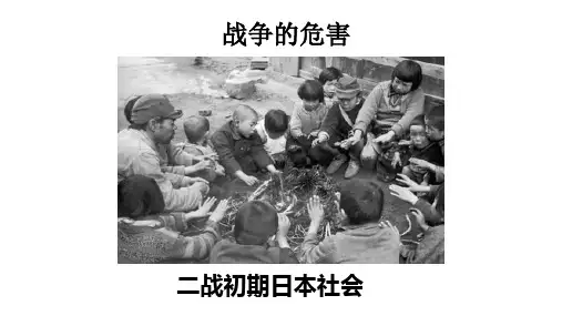 【部编教材】在柏林精品PPT推荐1