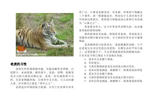 动物习性