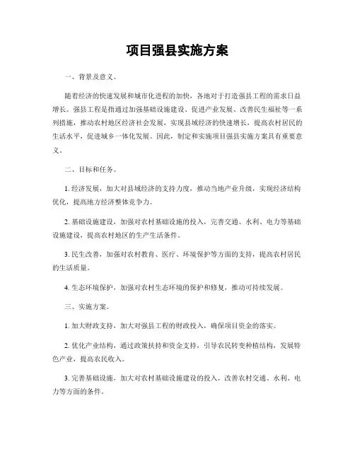 项目强县实施方案