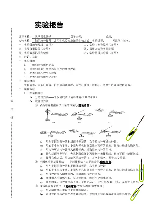 1细菌培养接种、常用生化反应及细菌生长方式