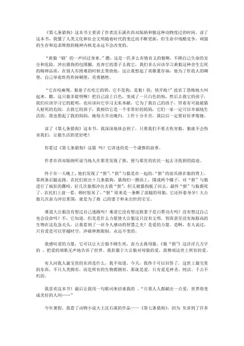 2020第七条猎狗读书笔记