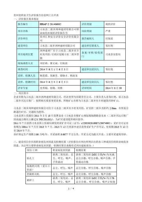 省职业卫生评价报告信息网上公开表[001]