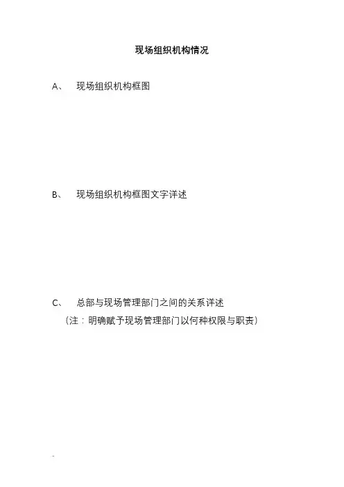 现场组织机构情况