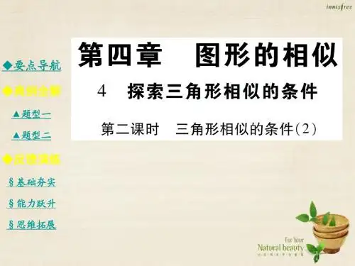2017年秋季新版北师大版九年级数学上学期4.4、探索三角形相似的条件课件13