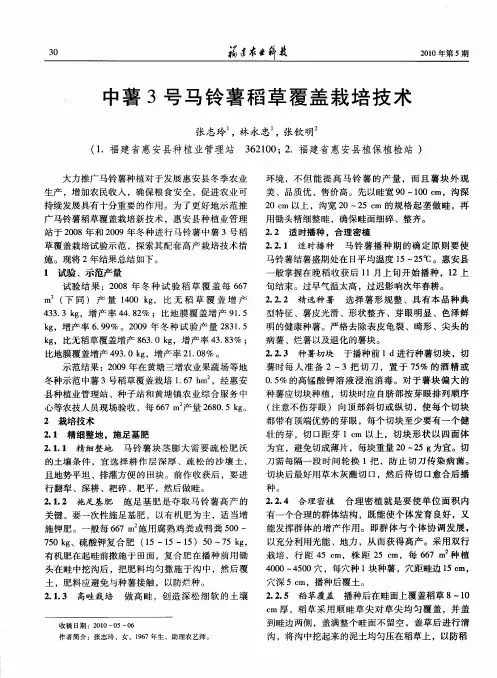 中薯3号马铃薯稻草覆盖栽培技术