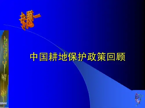 中国耕地保护政策回顾共32页