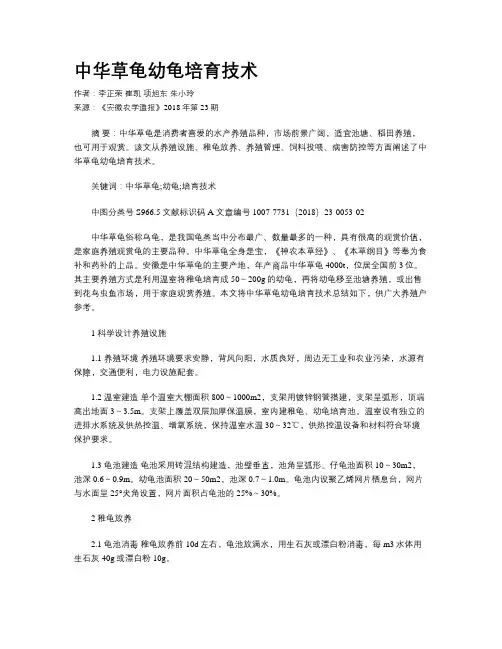 中华草龟幼龟培育技术