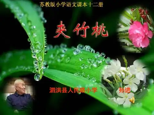 19、夹竹桃公开课PPT