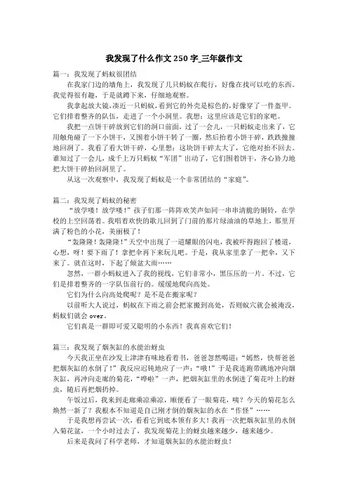 我发现了什么作文250字_三年级作文