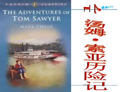17.汤姆索亚历险记