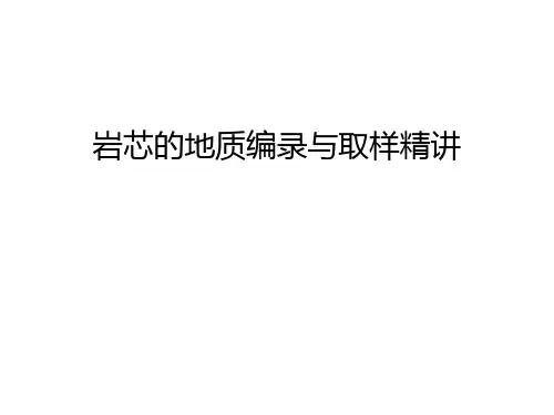 岩芯的地质编录与取样精讲教学文案