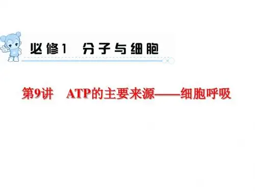 2015届《学海导航》高三生物一轮总复习配套课件：第9讲 ATP的主要来源——细胞呼吸