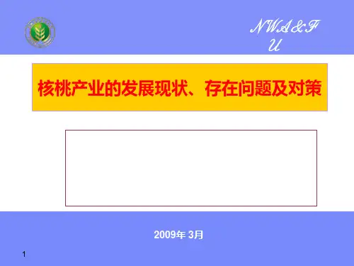 核桃产业现状PPT课件