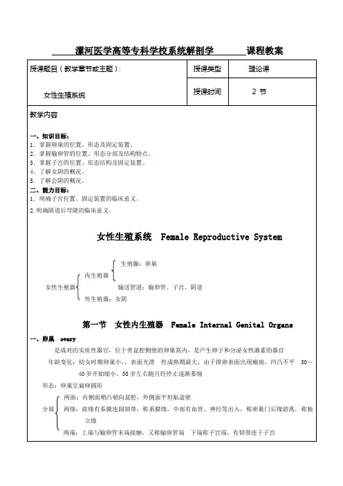 女性生殖