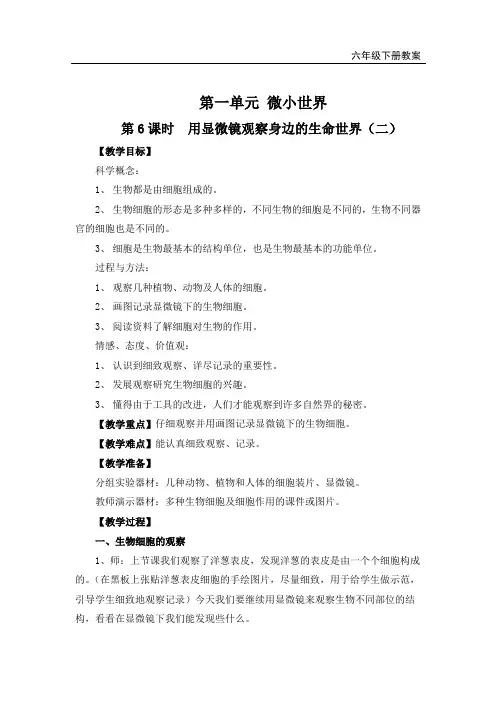 教科版六年级科学下册《用显微镜观察身边的生命世界(二)》教案