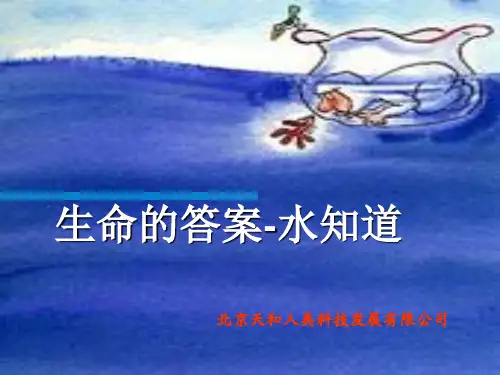 生命的答案——水知道