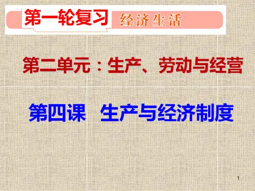 经济生活届第四课复习PPT课件