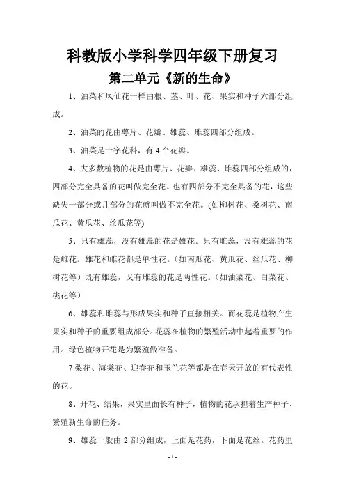 科教版小学科学四年级下册第二单元单元复习资料及测试题 Word 文档