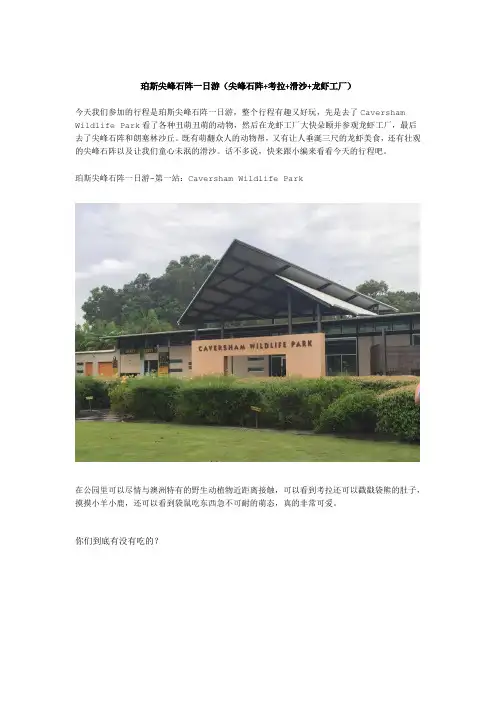 珀斯尖峰石阵一日游(尖峰石阵+考拉+滑沙+龙虾工厂)