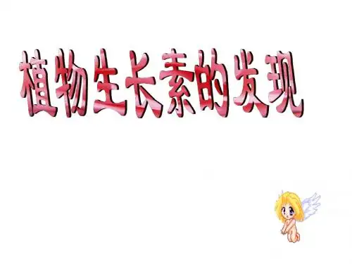 植物生长素的发现