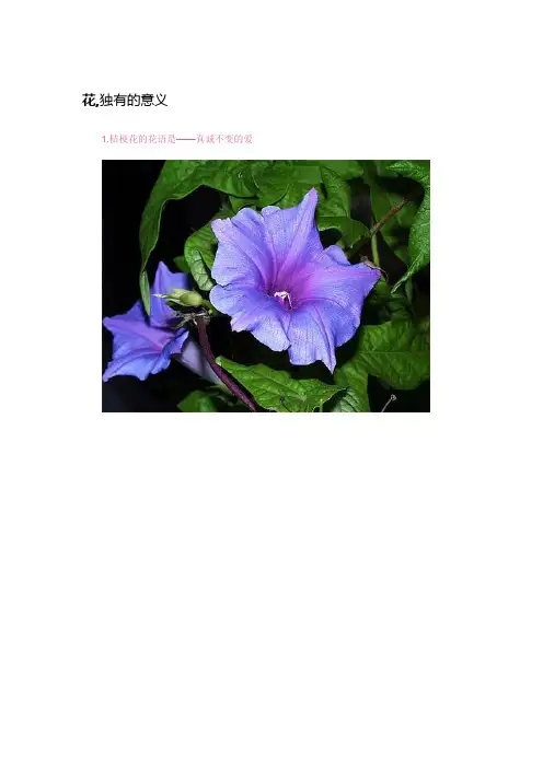 最全的花语(带图)