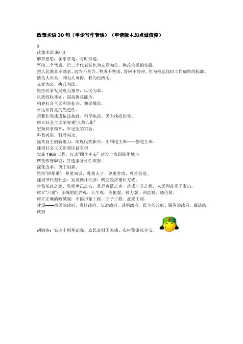 政策术语30句