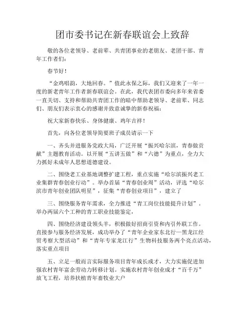 团市委书记在新春联谊会上致辞