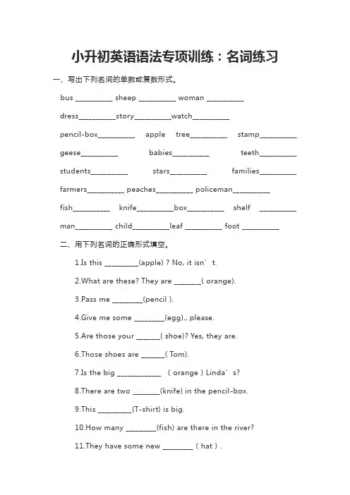2018年人教版PEP最新版小学六年级英语下册：小升初英语专项训练-名词(小升初模拟试题)
