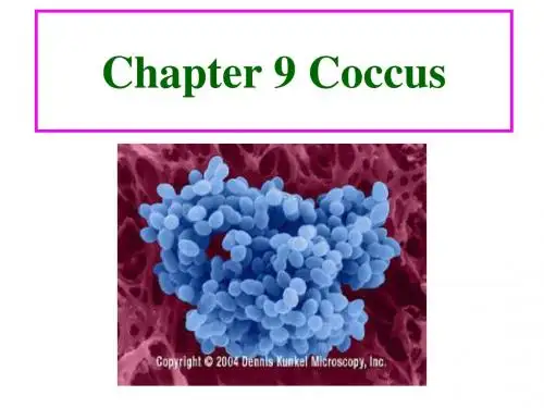 (人卫7版微生物)chapter9-球菌-