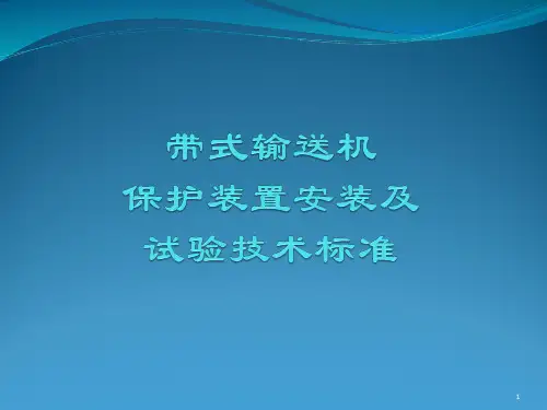 皮带保护标准